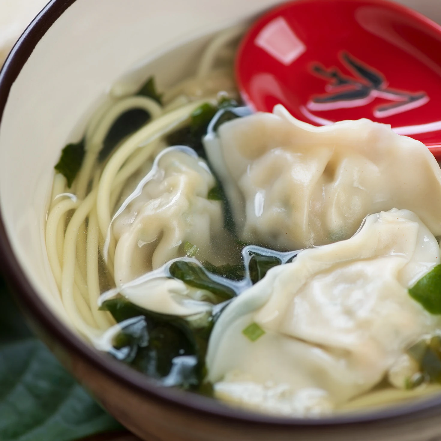 Asian Dumpling Soup